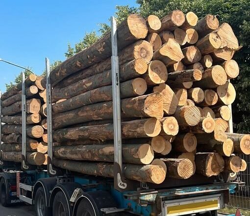 Buchenstammholz – Komplette LKW-Ladung 50 Raummeter – PEFC-zertifiziert
